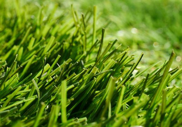 ما هو العشب الصناعي